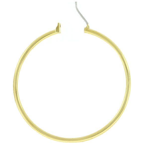 Large Golden Hoop Earrings