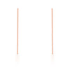 Carolee Rose Gold Stainless Steel Long Line Drop Earrings